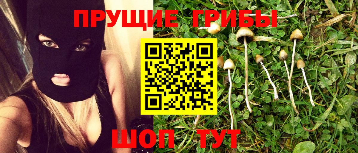 Галлюциногенные грибы GOLDEN TEACHER Новоалтайск